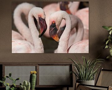 Kleine flamingo's van Anja Wessels Fotografie
