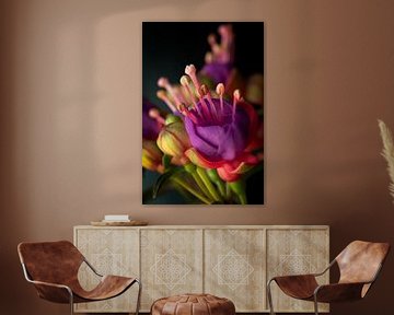 Fuchsia (rood-paars) van Anja Wessels Fotografie