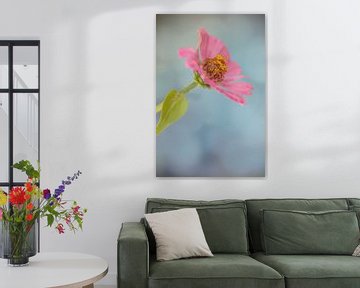 Pink flower