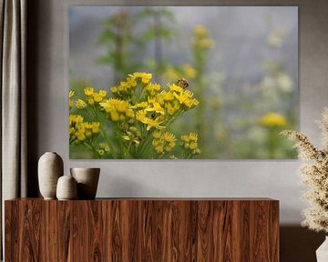 Insekt auf gelber Blüte
