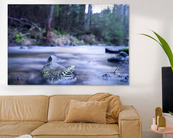 Raumvorschau
