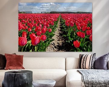 Red Dutch tulips van Chris Gottenbos