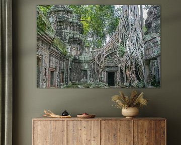 De natuur neemt in Cambodja