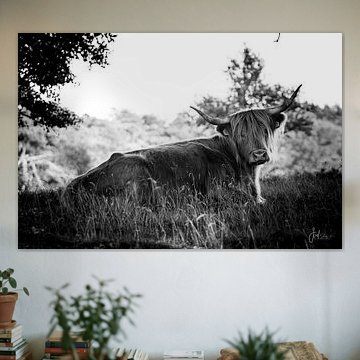 Verborgen Schoonheid (Zwart-Wit) van Jordy van Dijken