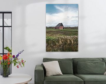 Sheep pen texel by Robbert Frie
