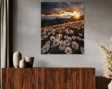 Kleuren schitteren met glans