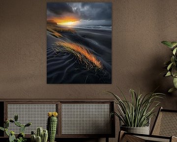 Les rayons du soleil enveloppent le paysage
