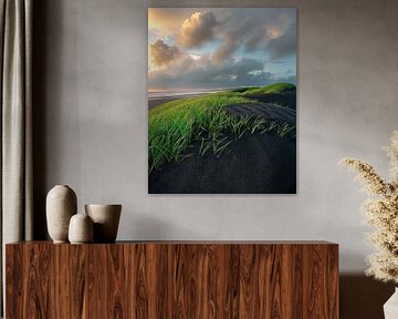 Le paysage s'illumine
