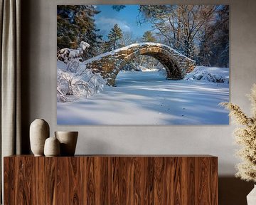 Bridge in the wintry forest