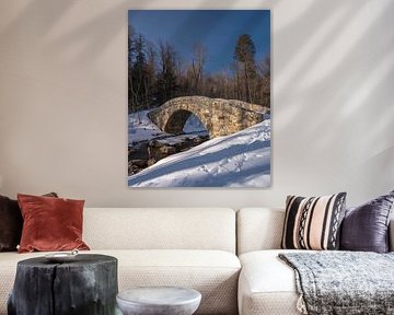 Frosty bridge in the winter forest