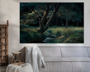 Forêt d'été romantique en Allemagne