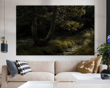 Forêt allemande idyllique en été