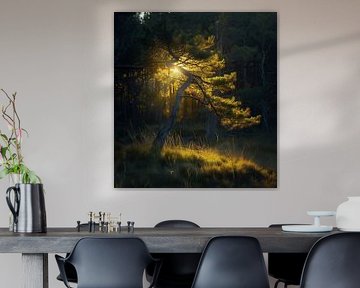 Zomerbos vol leven