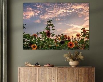 Sonnenbeschienene Blüten