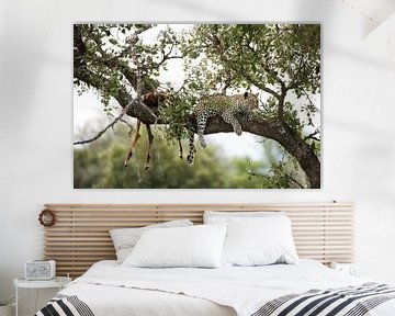 The Apex Rest by Wild Love Expedition