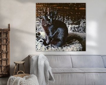 Tomcat NOCSI no1 by Pia Schneider