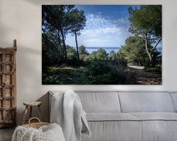 Etang de Thau - Sète - France