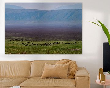 Uitzicht op de Ngorongoro krater van Jeremy Duvekot