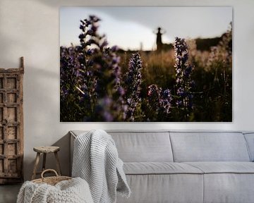 Purple flowers in field by Studio Snouk.