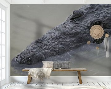 krokodil van Barry van Strien