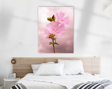 Roze Bloemen van Fayola Henderikse