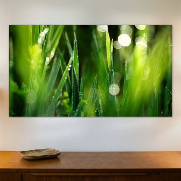 Green Fresh von Julia Delgado