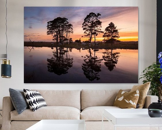 Aperçu de la chambre