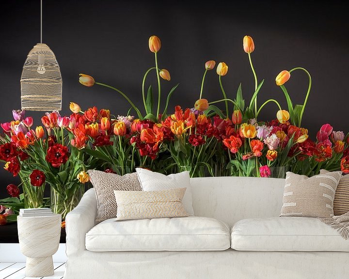 Beispiel fototapete: Tulpen aus Holland von Dirk Verwoerd