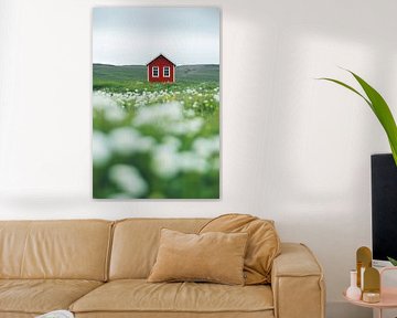 Red house in the flowering field by Poster Art Shop