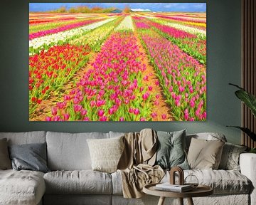 Colorful flower fields sur eric van der eijk