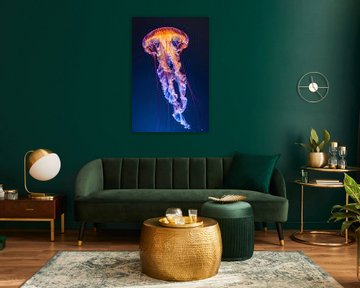 Kleurrijke medusa in het water van Poster Art Shop
