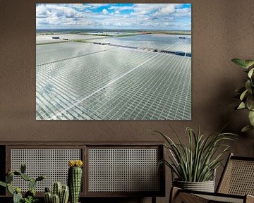 Kas voor het kweken van groenten en bloemen Luchtfoto