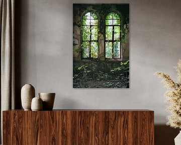 Bouwvallige ramen met plantengroei van Poster Art Shop