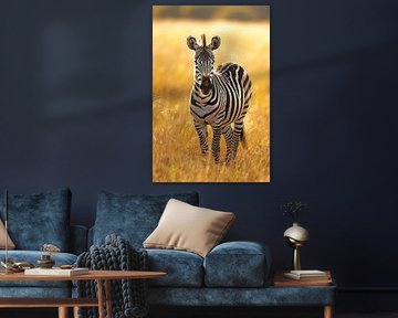 Zebra im goldenen Licht von Poster Art Shop
