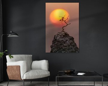 The power of small creatures at sunset by Poster Art Shop