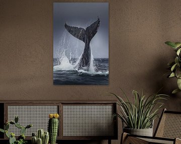 Wale im Sprung – Majestät der Meere von Poster Art Shop
