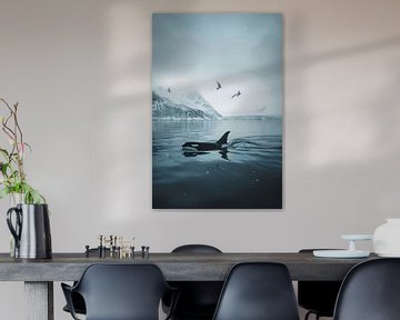 Orka in kalme poolwateren van Poster Art Shop