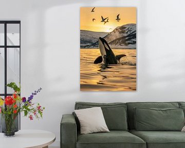 Orka in de gouden zonsondergang van Poster Art Shop