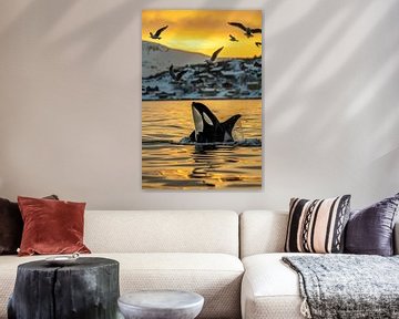 Orka in de gouden zonsondergang van Poster Art Shop