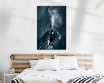 Orka in zonlicht boven water van Poster Art Shop