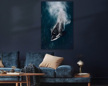 Majestätischer Schwertwal im Ozean von Poster Art Shop