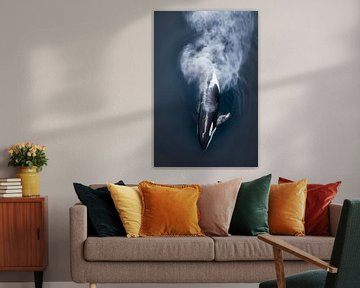 Orka in de mist van de zee van Poster Art Shop