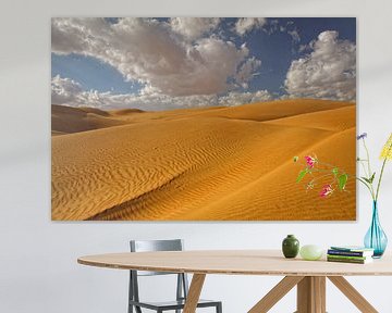Wahibi Sands Wüste in Oman von Yvonne Smits