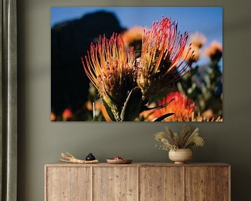 South African flower with mountain in background by Timba Art