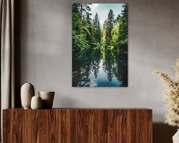 Reflecties in het groene bos van Poster Art Shop