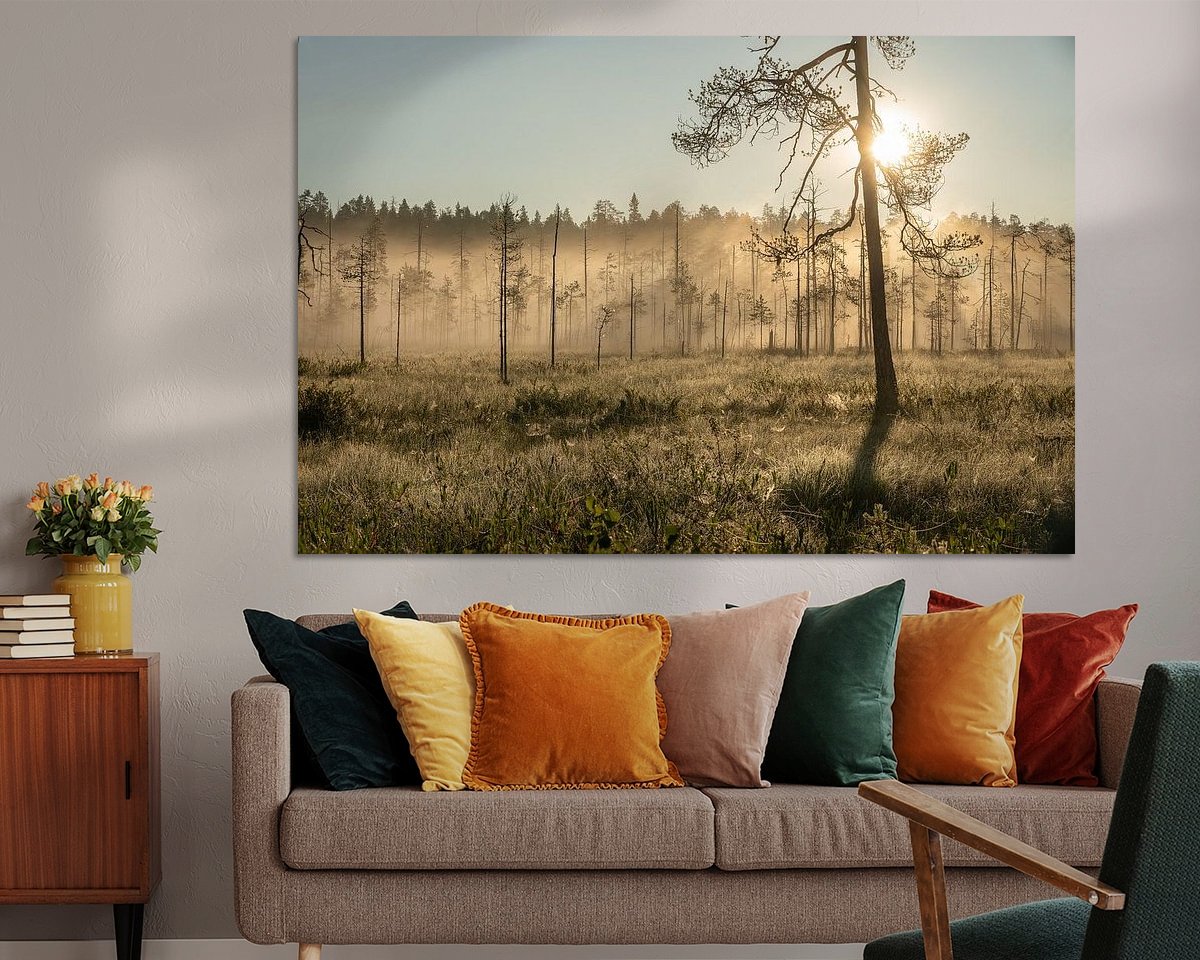 Voorbeeld van het werk in een kamer