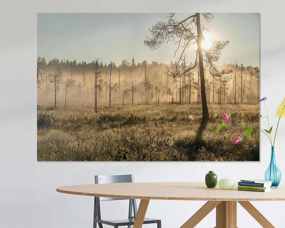 Voorbeeld van het werk in een kamer