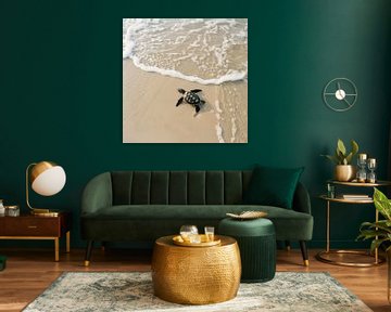 Kleine schildpad op het strand van Poster Art Shop