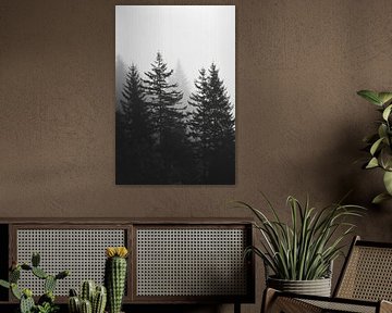 Forêt mystique dans le brouillard sur Poster Art Shop