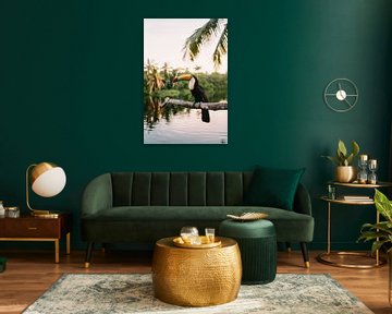 Kleurrijke toekans bij het kalme water van Poster Art Shop